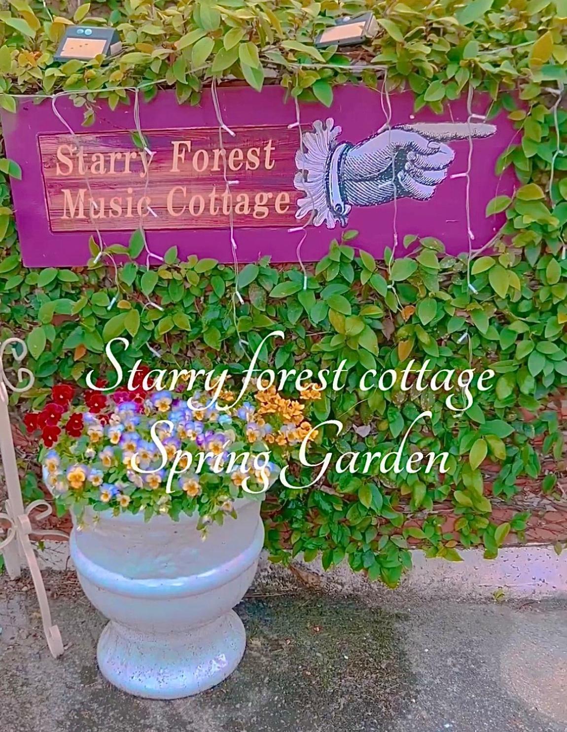 Cats,Piano & Starry Sky Resort Garden -Starry Forest Cottage Okinawa- Онна Екстериор снимка