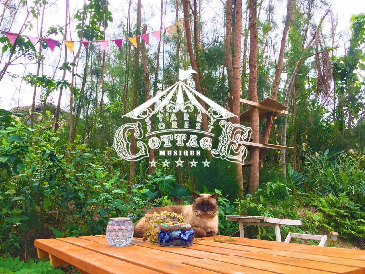 猫とピアノと星空のリゾートブティックコテージ - Starry Forest Cottage Okinawa - Онна Екстериор снимка